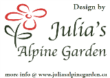 Julia's alpine garden julia's alpine garden