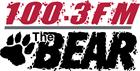 bear_newlogo bear large logo