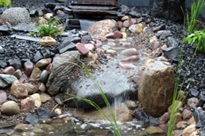 water feature water feature rcl